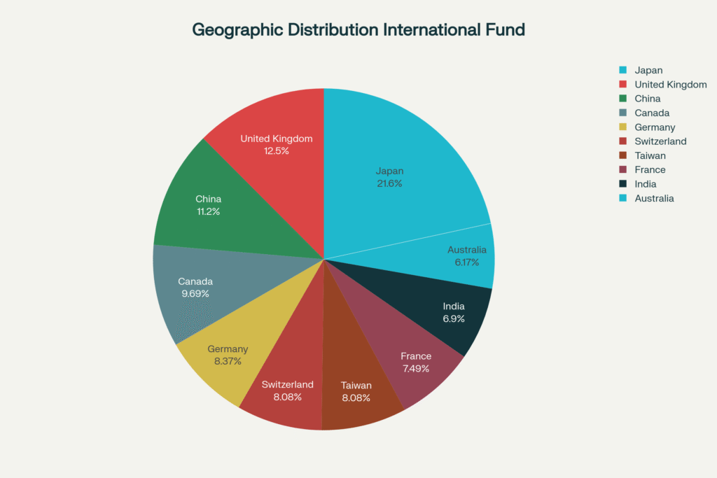 Pie chart showing the geographic distribution of the international fund across different countries and regions