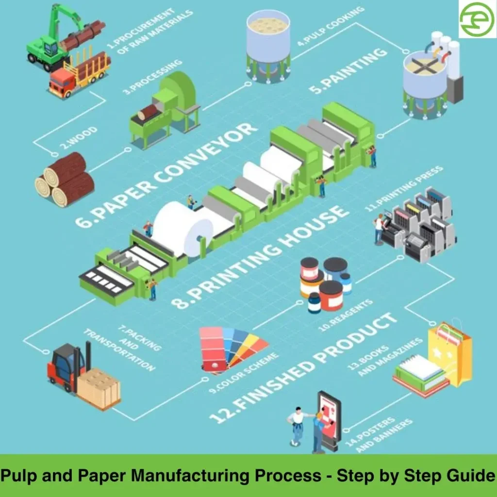 Step-by-step infographic showing the pulp and paper manufacturing process from raw materials to finished product 