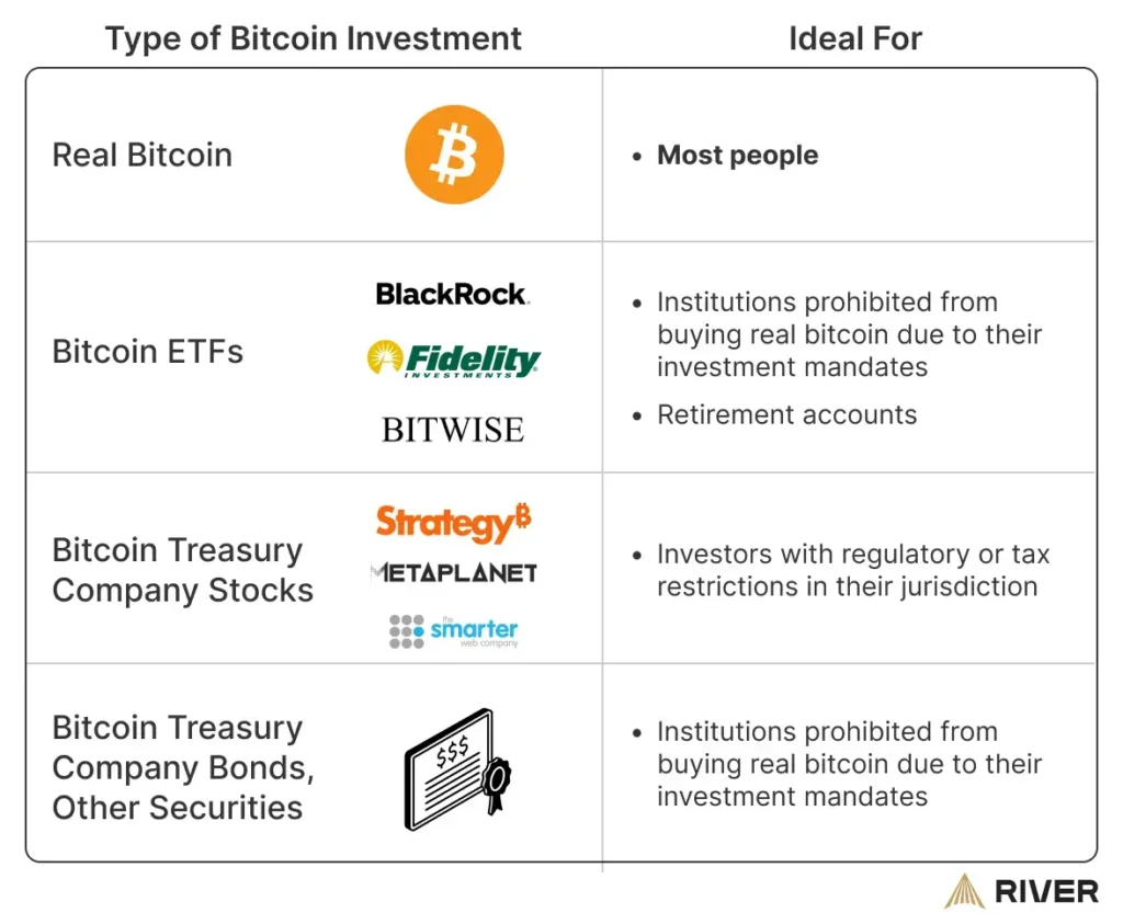 Types of bitcoin investments and their ideal investors, including bitcoin treasury company stocks and securities 