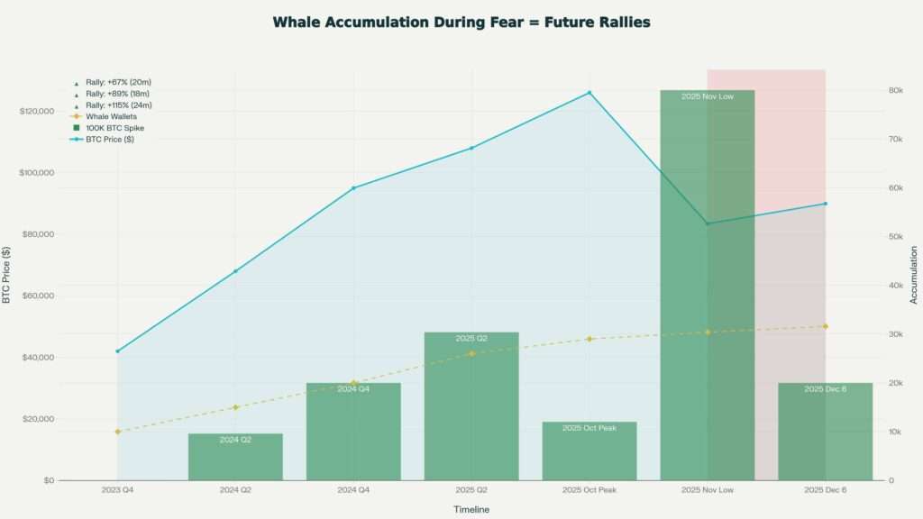 Bitcoin Whale Accumulation: 1,350 → 1,458 Wallets, $8.2B Bought at $83.4K Fear Low (Nov 2025)